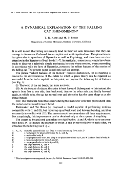 A Dynamical Explanation of the Falling Cat Phenomenon