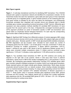 Main Figure Legends Figure 1. A multi-step translational work