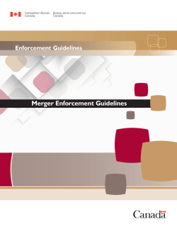 Merger Enforcement Guidelines