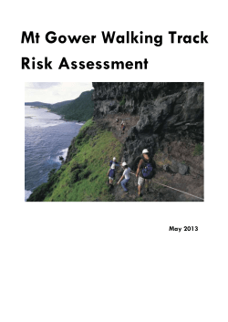 Mt Gower Risk Assessment Document