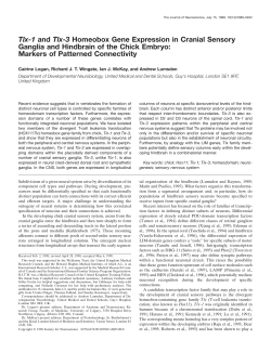 Tlx-1 and Tlx-3 Homeobox Gene Expression in Cranial Sensory