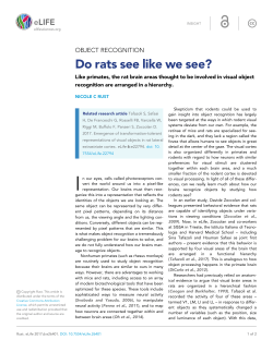 Do rats see like we see? - Penn Arts and Sciences