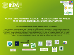 model improvements reduce the uncertainty of wheat crop