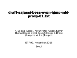 Juniper Networks Presentation Template-US