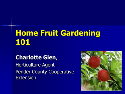 Growing Fruit in Pender County