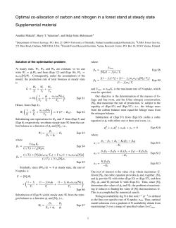 Optimal co-allocation of carbon and nitrogen in a forest stand at
