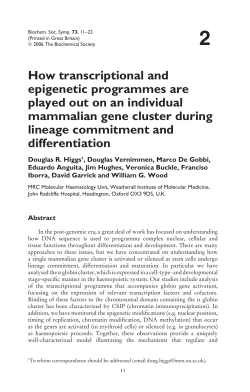 How transcriptional and epigenetic programmes are played out on