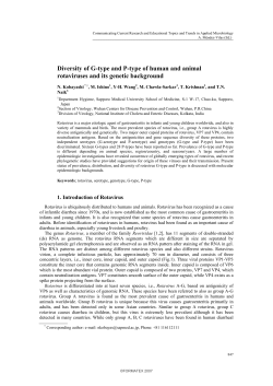 Diversity of G-type and P-type of human and animal rotaviruses and