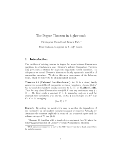 The Degree Theorem in higher rank