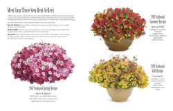 Meet Your Three New Best-Sellers