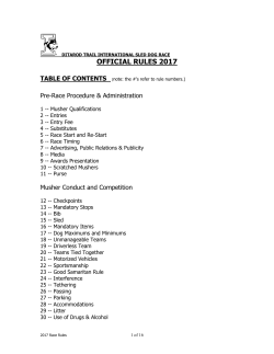official rules