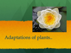 Adaptations of plants..