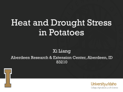 Potato heat and drought stress, 2016