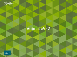 Animal me 2 presentation