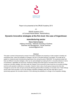 Dynamic Innovative strategies at the firm level: the case of