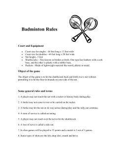Badminton Rules