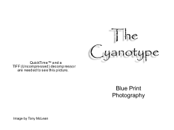 CyanotypeHEIN&iuml;&euro;&cent;BVSD