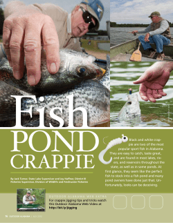 Black and white crap- pie are two of the most popular sport fish in