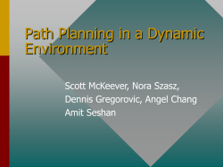 Path Planning in a Dynamic Environment