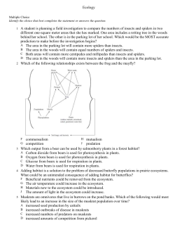 most likely - Mater Academy Lakes High School