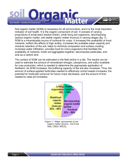 Inherent Factors Affecting Soil Organic Matter