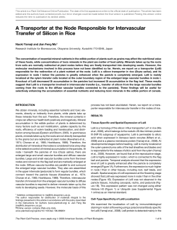 A Transporter at the Node Responsible for Intervascular