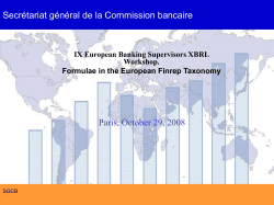 Formulae in the European FINREP taxonomy