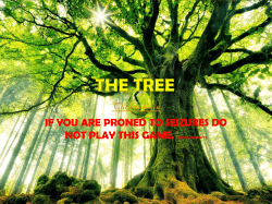 The Tree