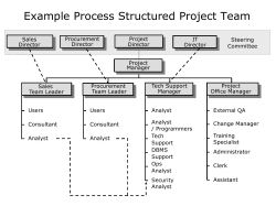 Example Process Structured Team