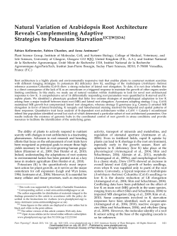 Natural Variation of Arabidopsis Root Architecture