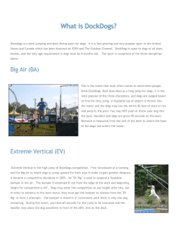 Dockdogs is a dock jumping and dock diving sport for dogs. It is a