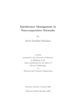 Interference Management in Non-cooperative Networks