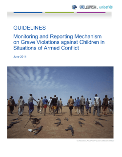 GUIDELINES Monitoring and Reporting Mechanism on Grave