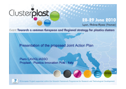 Presentation of the proposed Joint Action Plan