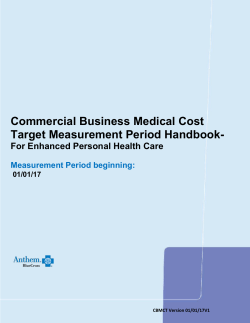 Commercial Business Medical Cost Target Measurement Period