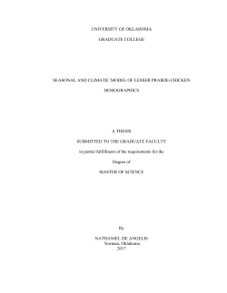 Master`s Thesis Template