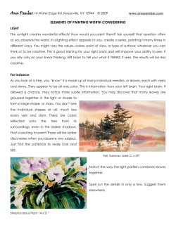 Seasonal Notes From Ann