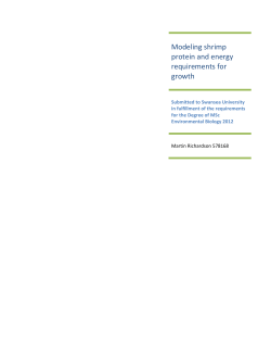 Modeling shrimp protein and energy requirements for growth