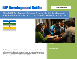 Fillable CIP Development Guidance- Guidance for the Development