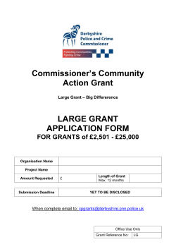 Large Grant Application Form 2017 TEMPLATE