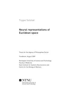 Neural representations of Euclidean space