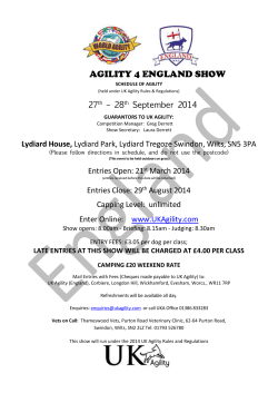guarantors to uk agility