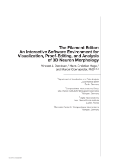 The Filament Editor: An Interactive Software Environment for