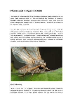 Intuition and the Quantum Nose