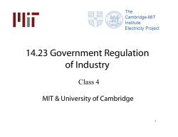 Dominant Firm Theory