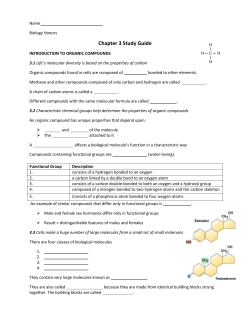Chapter 3 Study Guide