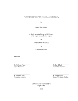FUZZY EVOLUTIONARY CELLULAR AUTOMATA by James Neal
