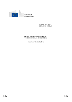 3.3 The European Court of Auditors