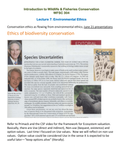 Environmental Ethics
