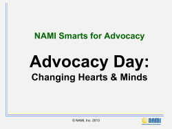 NAMI Smarts Advocacy Day Slides